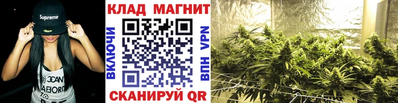 Купить закладку Каннабис  Кодеин  Меф  Верхняя Тура