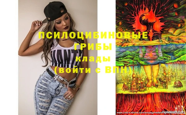 шишки Вязьма
