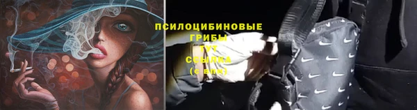 каннабис Вяземский