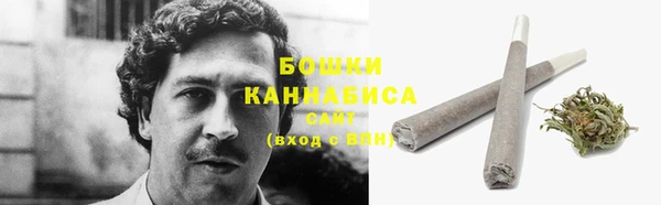 шишки Вязьма