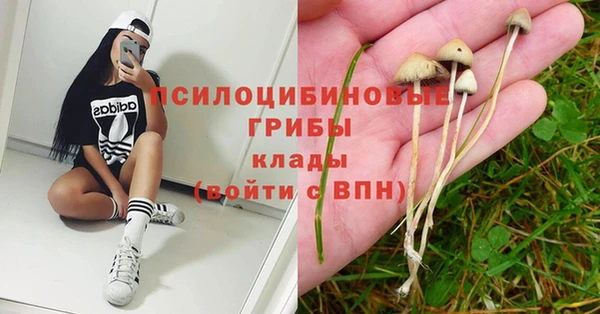 МДПВ Вязники