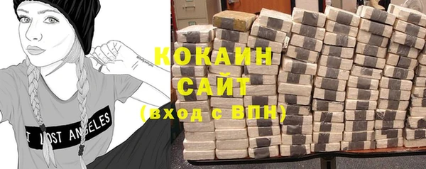 шишки Вязьма