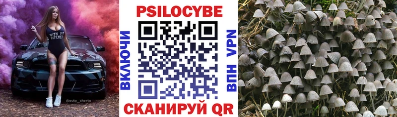 Купить где  Верхняя Тура  Галлюциногенные грибы прущие грибы 